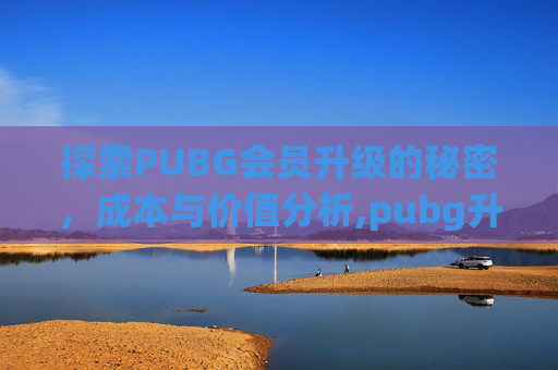 探索PUBG会员升级的秘密，成本与价值分析,pubg升级券