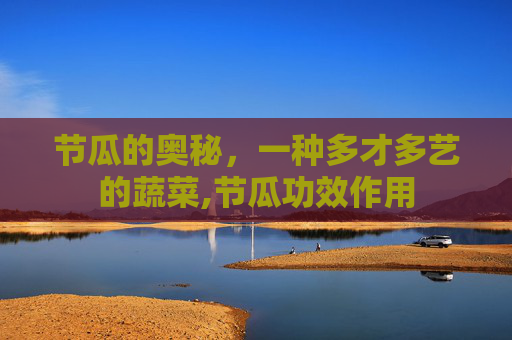 节瓜的奥秘，一种多才多艺的蔬菜,节瓜功效作用
