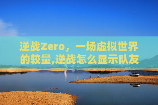 逆战Zero，一场虚拟世界的较量,逆战怎么显示队友名字