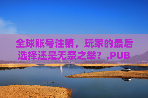 全球账号注销，玩家的最后选择还是无奈之举？,PUBG注销账号入口