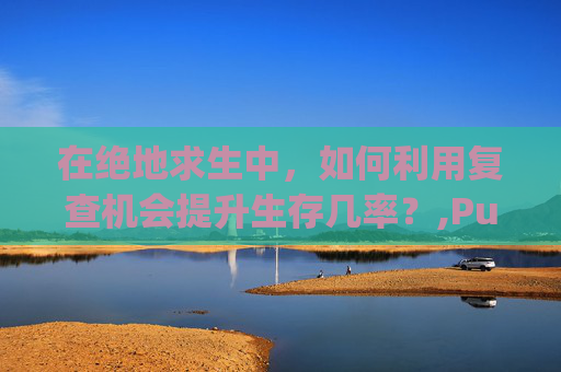 在绝地求生中，如何利用复查机会提升生存几率？,Pubg账号检测查询