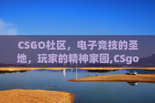 CSGO杜区，电子竞技的圣地，玩家的精神家园,CSgou