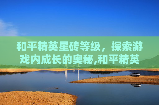 和平精英星砖等级，探索游戏内成长的奥秘,和平精英星砖等级怎么看
