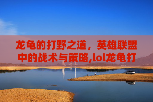 龙龟的打野之道，英雄联盟中的战术与策略,lol龙龟打野路线