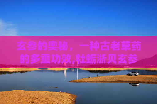 玄参的奥秘，一种古老草药的多重功效,牡蛎浙贝玄参的作用