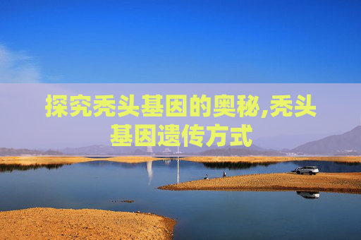 探究秃头基因的奥秘,秃头基因遗传方式