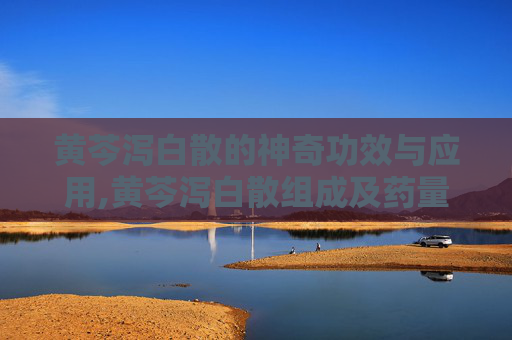黄芩泻白散的神奇功效与应用,黄芩泻白散组成及药量