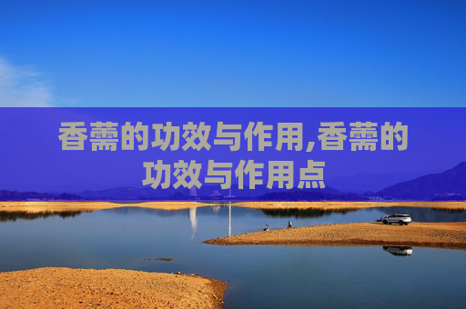 香薷的功效与作用,香薷的功效与作用点