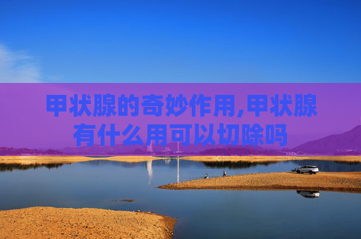 甲状腺的奇妙作用,甲状腺有什么用可以切除吗