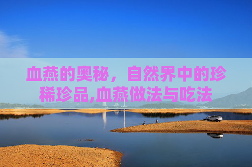 血燕的奥秘，自然界中的珍稀珍品,血燕做法与吃法