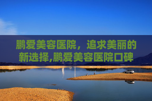 鹏爱美容医院，追求美丽的新选择,鹏爱美容医院口碑怎么样