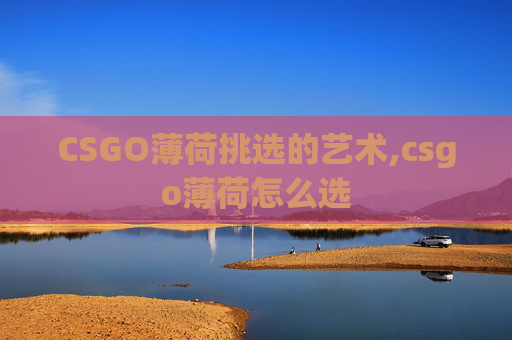CSGO薄荷挑选的艺术,csgo薄荷怎么选
