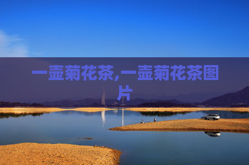 一壶菊花茶,一壶菊花茶图片