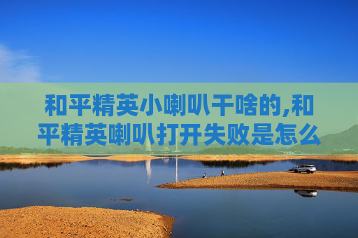 和平精英小喇叭干啥的,和平精英喇叭打开失败是怎么回事