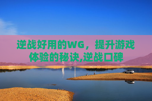逆战好用的WG，提升游戏体验的秘诀,逆战口碑