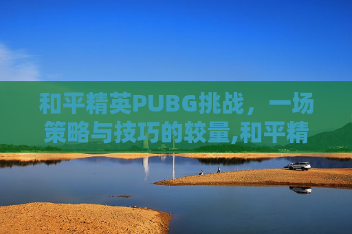 和平精英PUBG挑战，一场策略与技巧的较量,和平精英挑战赛