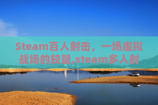 Steam百人射击，一场虚拟战场的较量,steam多人射击游戏
