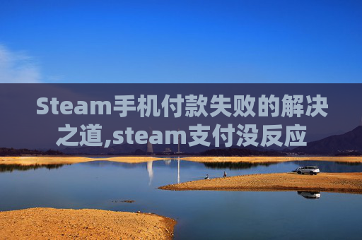 Steam手机付款失败的解决之道,steam支付没反应