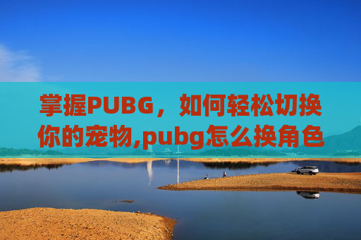 掌握PUBG，如何轻松切换你的宠物,pubg怎么换角色