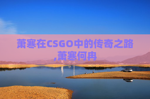 萧寒在CSGO中的传奇之路,萧寒何冉