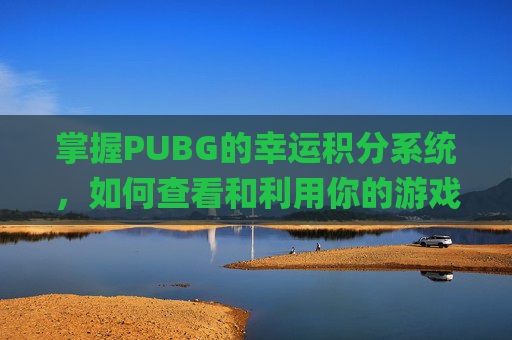 掌握PUBG的幸运积分系统，如何查看和利用你的游戏优势,pubg积分查询
