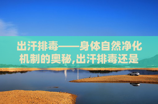 出汗排毒——身体自然净化机制的奥秘,出汗排毒还是排湿