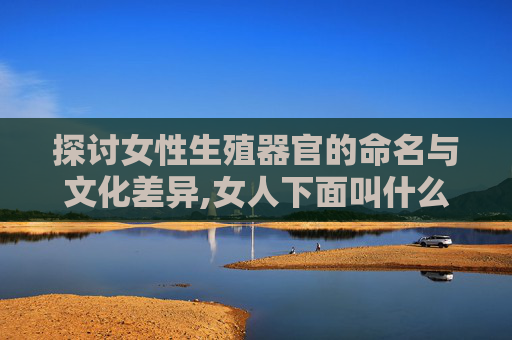 探讨女性生殖器官的命名与文化差异,女人下面叫什么骨
