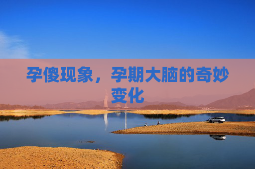 孕傻现象，孕期大脑的奇妙变化