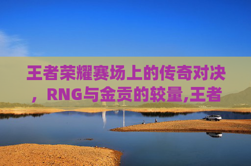 王者荣耀赛场上的传奇对决，RNG与金贡的较量,王者荣耀rng和金贡的关系