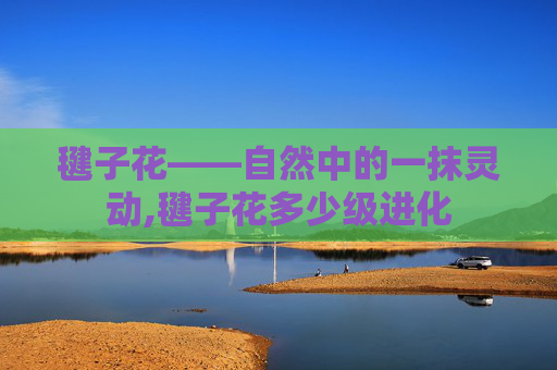 毽子花——自然中的一抹灵动,毽子花多少级进化