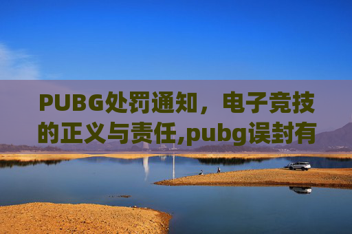 PUBG处罚通知，电子竞技的正义与责任,pubg误封有补偿吗