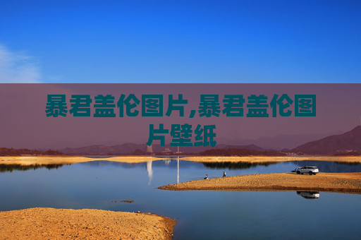 暴君盖伦图片,暴君盖伦图片壁纸