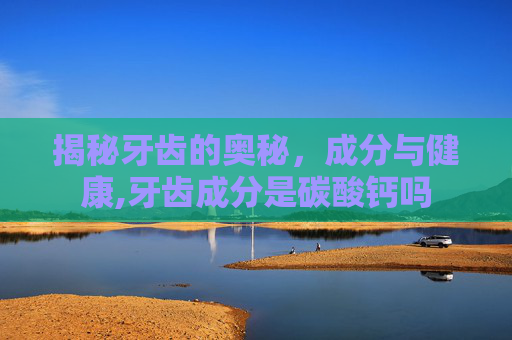 揭秘牙齿的奥秘，成分与健康,牙齿成分是碳酸钙吗