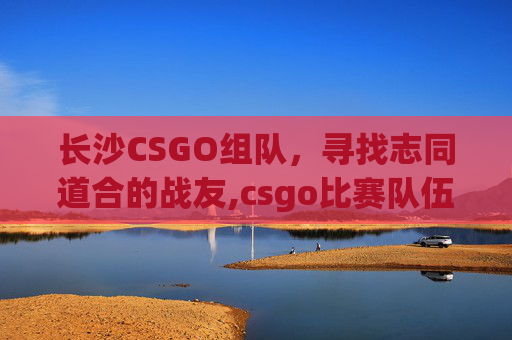 长沙CSGO组队，寻找志同道合的战友,csgo比赛队伍