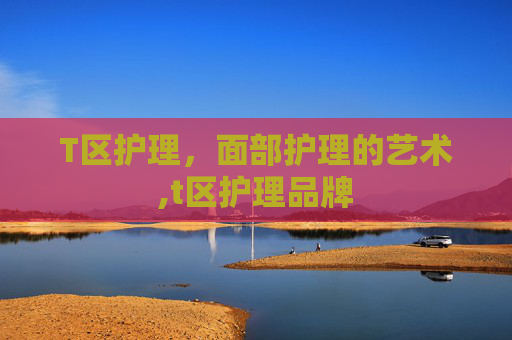 T区护理，面部护理的艺术,t区护理品牌