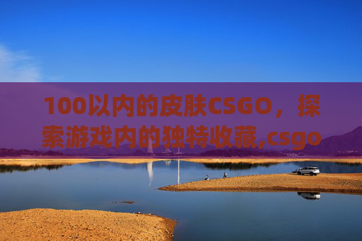 100以内的皮肤CSGO，探索游戏内的独特收藏,csgo10元以内皮肤