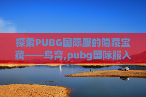 探索PUBG国际服的隐藏宝藏——鸟窝,pubg国际服入口