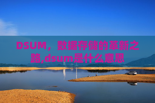 DSUM，数据存储的革新之路,dsum是什么意思