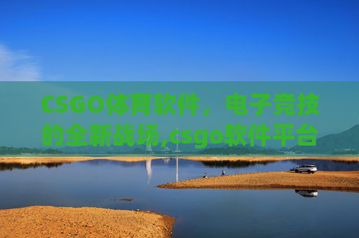 CSGO体育软件，电子竞技的全新战场,csgo软件平台