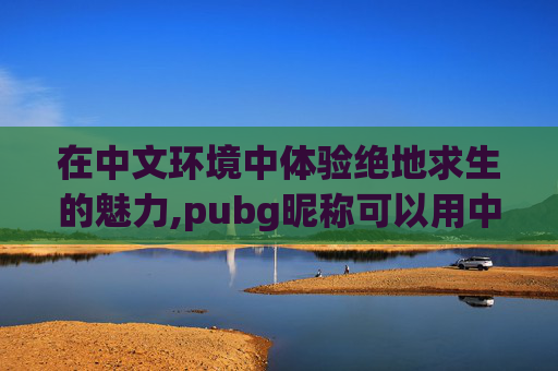 在中文环境中体验绝地求生的魅力,pubg昵称可以用中文吗