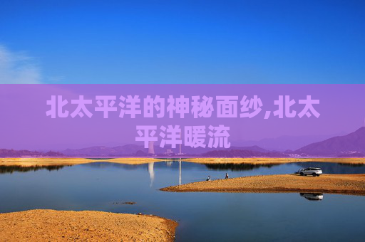北太平洋的神秘面纱,北太平洋暖流