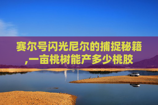 赛尔号闪光尼尔的捕捉秘籍,一亩桃树能产多少桃胶