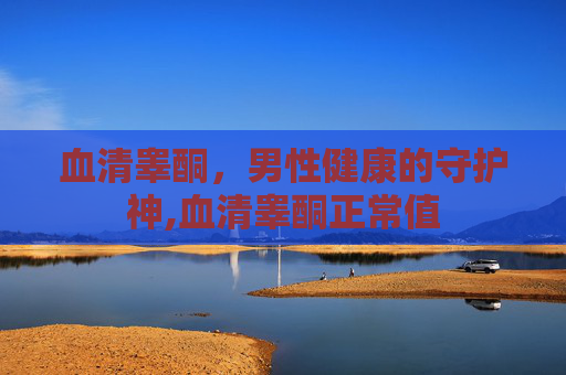 血清睾酮，男性健康的守护神,血清睾酮正常值
