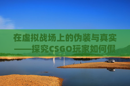 在虚拟战场上的伪装与真实——探究CSGO玩家如何假装被封,csgo封号前兆
