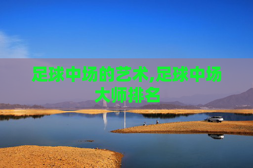 足球中场的艺术,足球中场大师排名