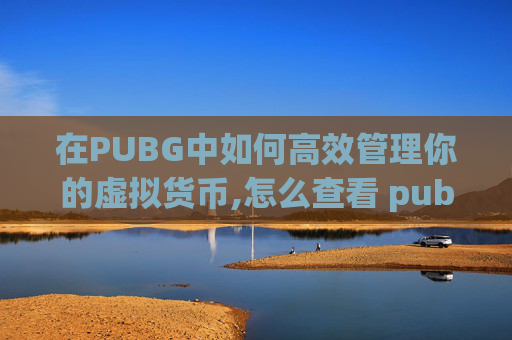 在PUBG中如何高效管理你的虚拟货币,怎么查看 pubgmobile充值了多少钱
