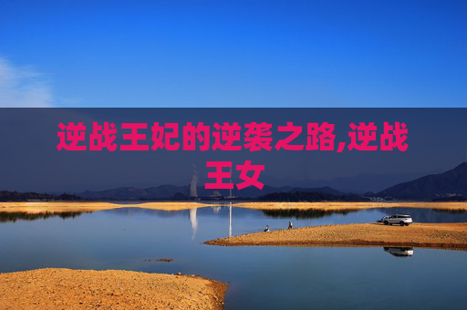 逆战王妃的逆袭之路,逆战王女