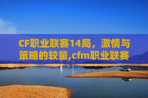 CF职业联赛14局，激情与策略的较量,cfm职业联赛