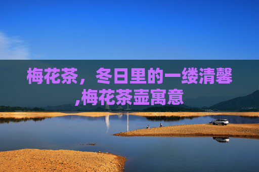 梅花茶，冬日里的一缕清馨,梅花茶壶寓意