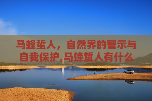 马蜂蜇人，自然界的警示与自我保护,马蜂蜇人有什么危害